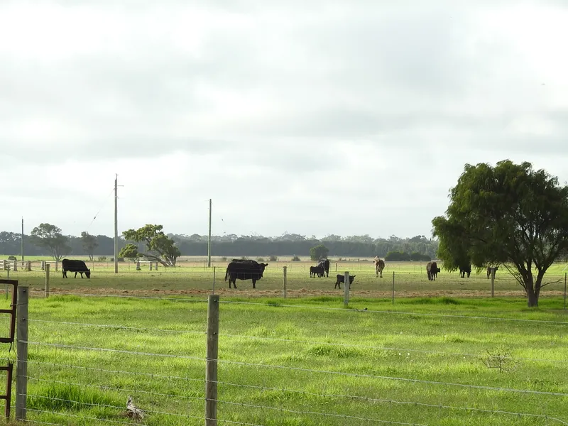 POTENTIAL FUTURE DEVELOPMENT ON THE EDGE OF THE MARGARET RIVER TOWNSITE - 183 ACRES