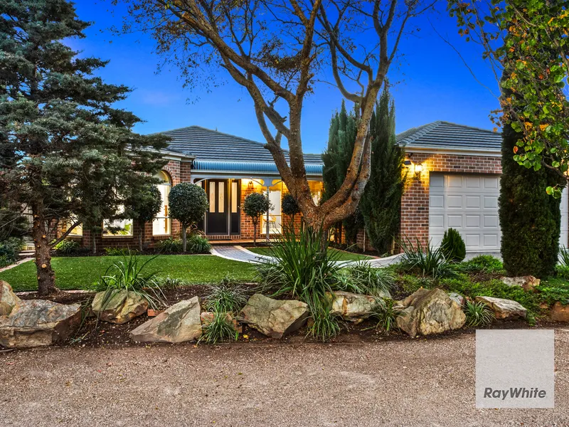 Elegant Entertainer!