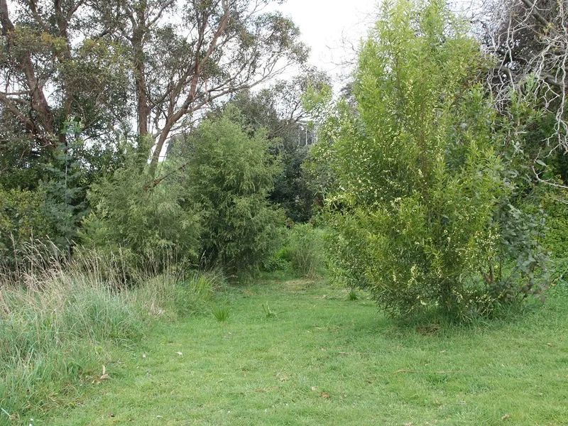 Peaceful & Scenic Allotment - $79,000