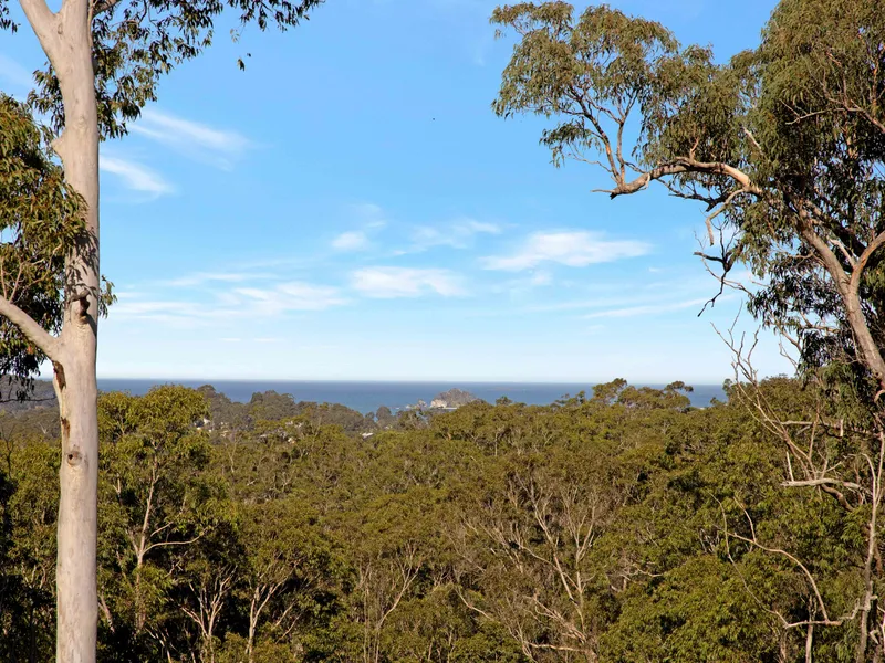 10 ACRES SO CLOSE TO TOWN WITH A VIEW