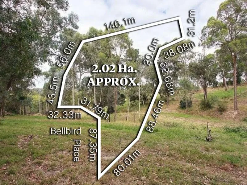 Over 2 Hectares, a rare land opportunity!