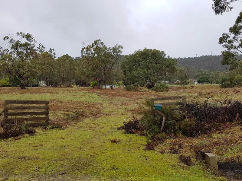 Coastal clear gentle sloping acreage