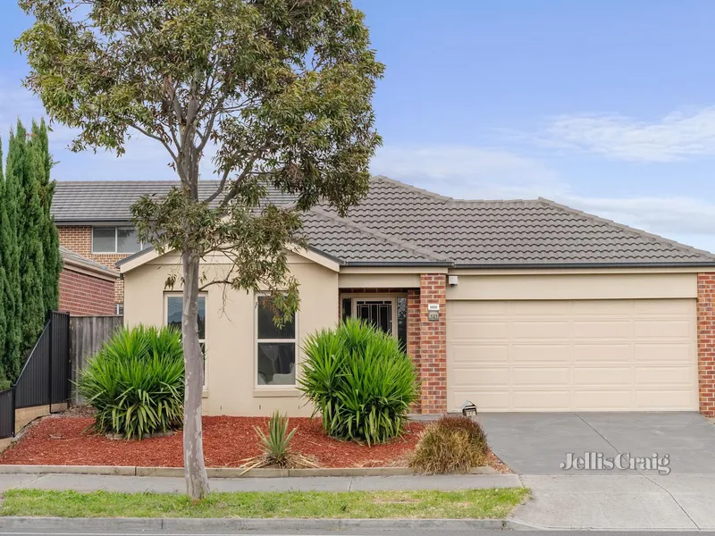 A Modern Take on Comfort