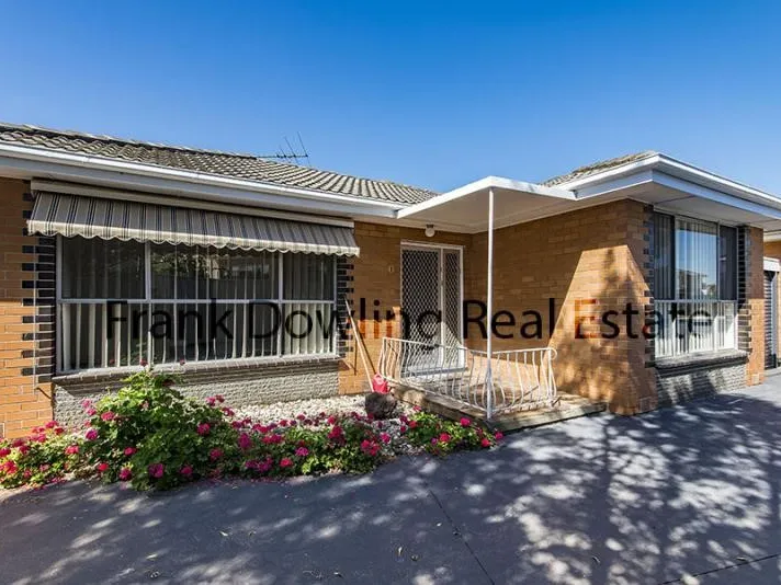 FOR LEASE - 3/10 Danin St