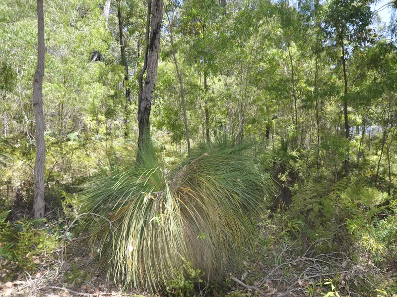 OVER AN ACRE ON KARRI LANE