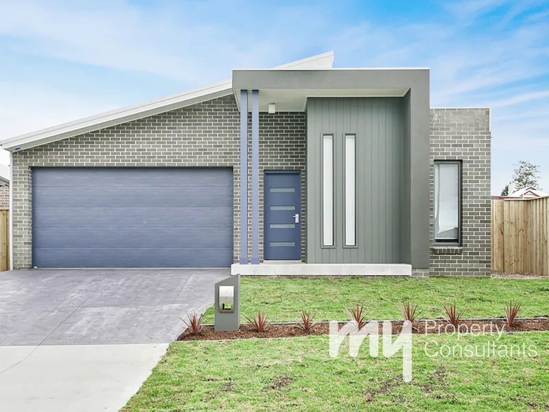 DESIGNER BLUETONGUE HOME!