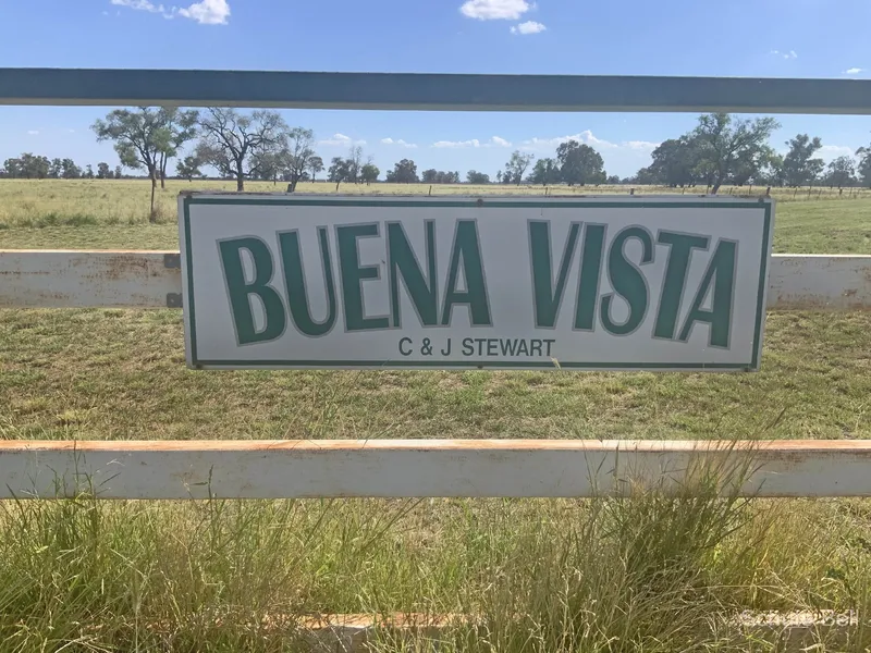 Acres, Homestead and 5 kms from Collie!
