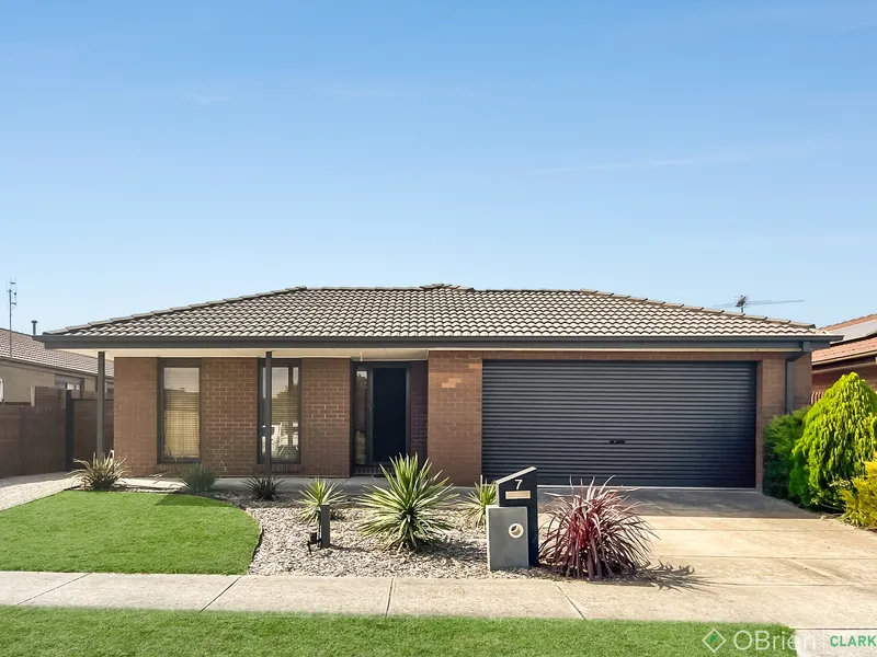 LET THE SHED WOW YOU