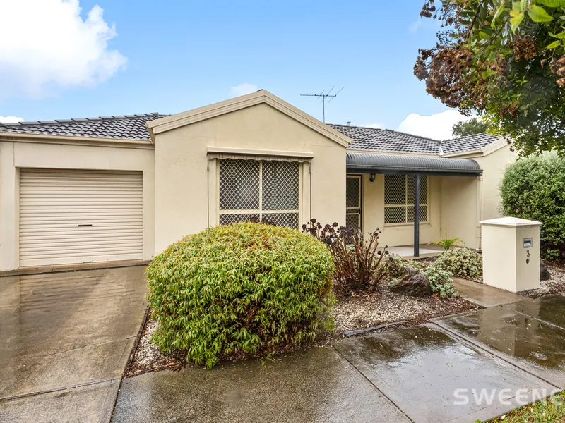 Entry Level Excellence / Investment Intelligence!