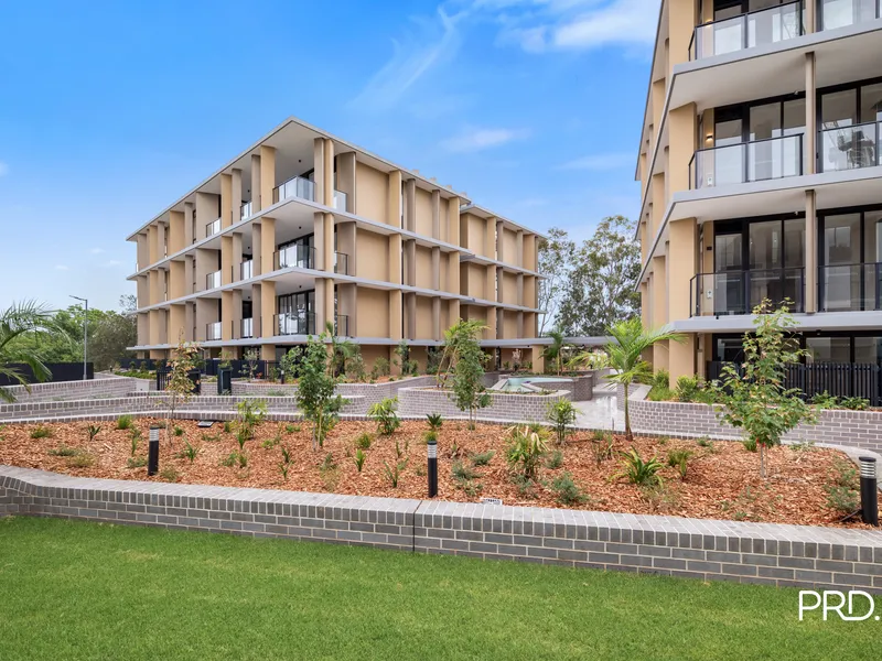 Live Poolside Early 2024!