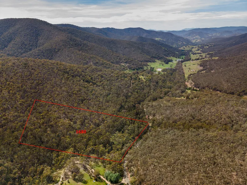 MOUNTAIN BUSH ACREAGE