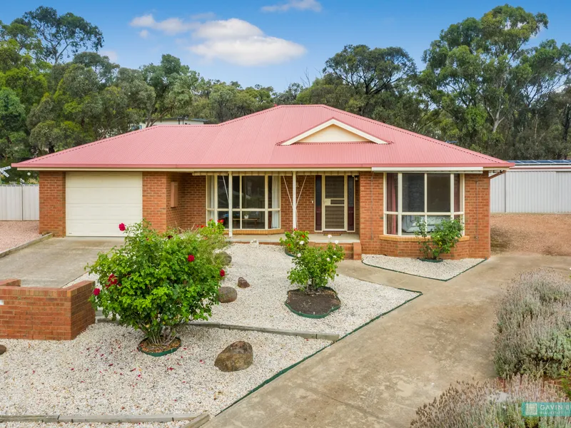 Outstanding family home on large block with extensive shedding and rear access