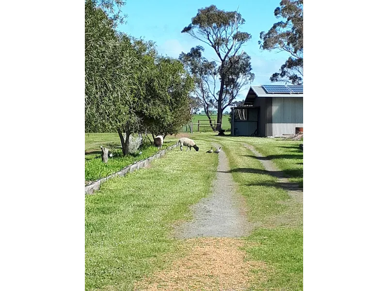 Country Cottage on 2 Acres NW of Mount Barker 