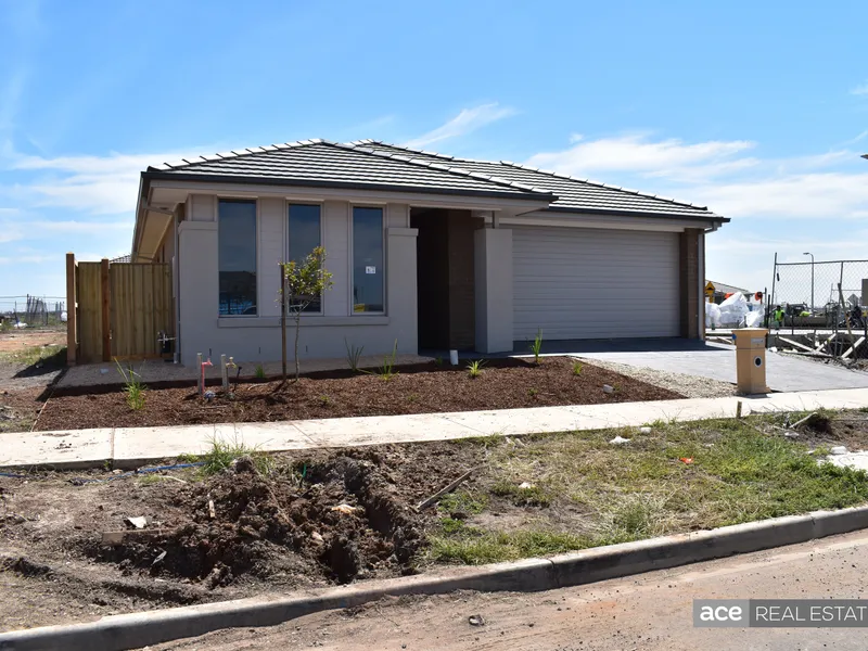 Family Treasure Trove