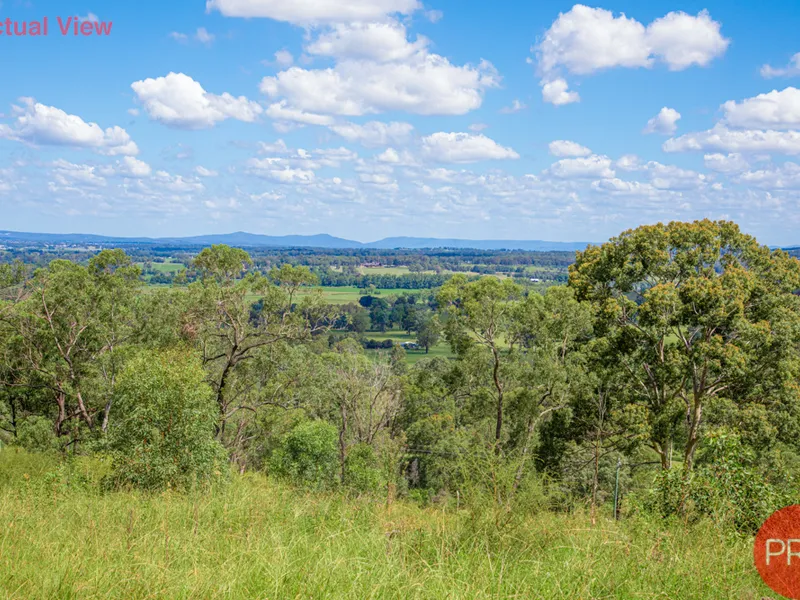 BREATHTAKING! Highest View in Paterson Hills Estate