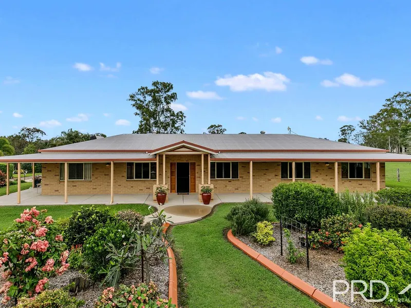 Bring Your Horses - on the way to Hervey Bay