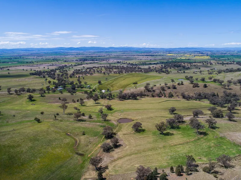 Rare Lifestyle And Grazing Opportunity