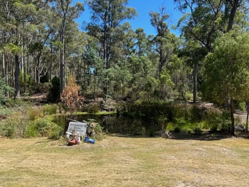 Private Bush Oasis with Spring-fed Dam