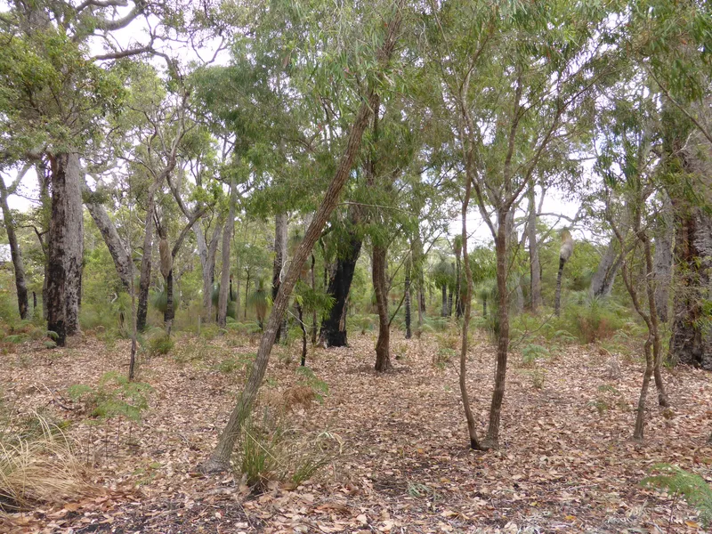 Absolute Water Front Block