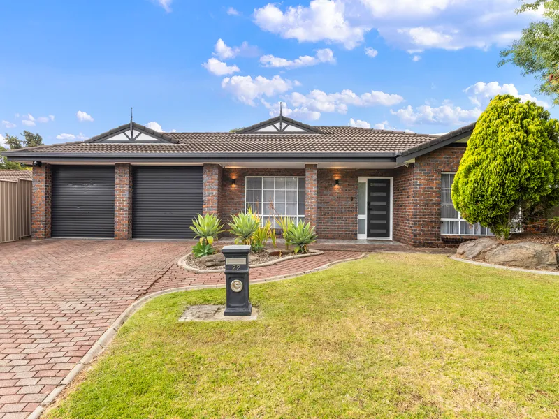 The Perfect Family Entertainer!