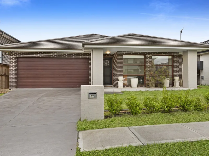 Impressive single level living