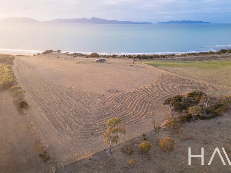 'Casa Acton' Architecturally Designed Coastal Off Grid Living Private Inspection by Appointment Only Friday 17 May | 2.30-4.30pm