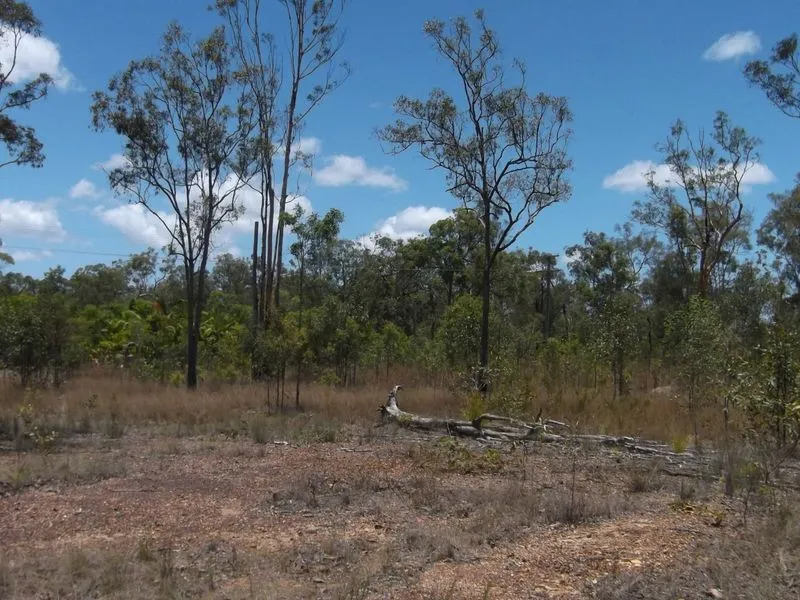 65 SUNNYBRAE CIRCUIT - 4 ACRES + TOWN WATER