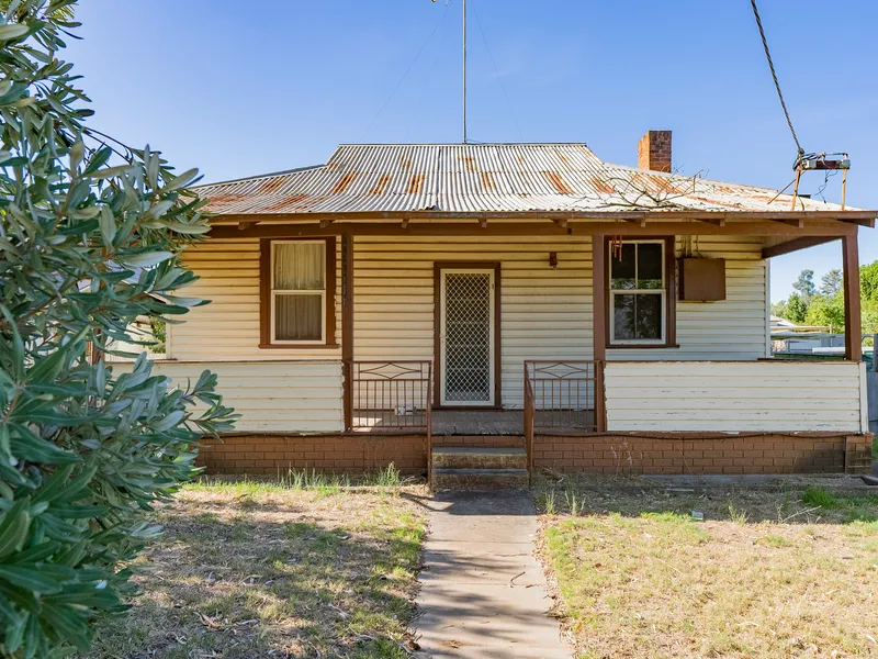 BOASTING WITH POTENTIAL!