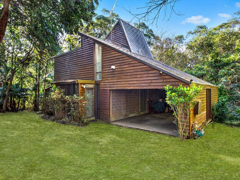 Rainforest Tranquility