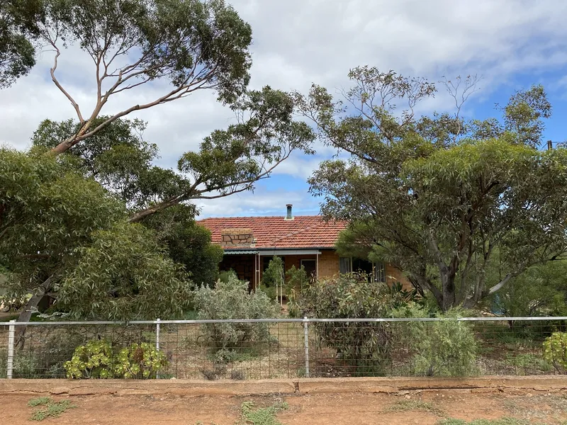 Family Home with Acres to play with