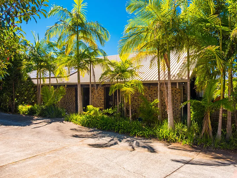 Seaview Tree Houses Retreat - The Perfect Country Escape