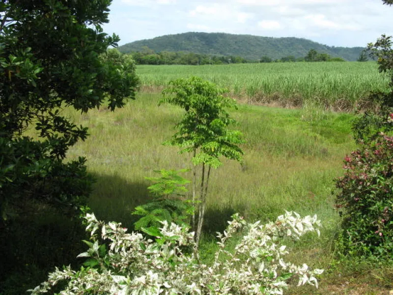 1000m2 block of industrial land in Mossman