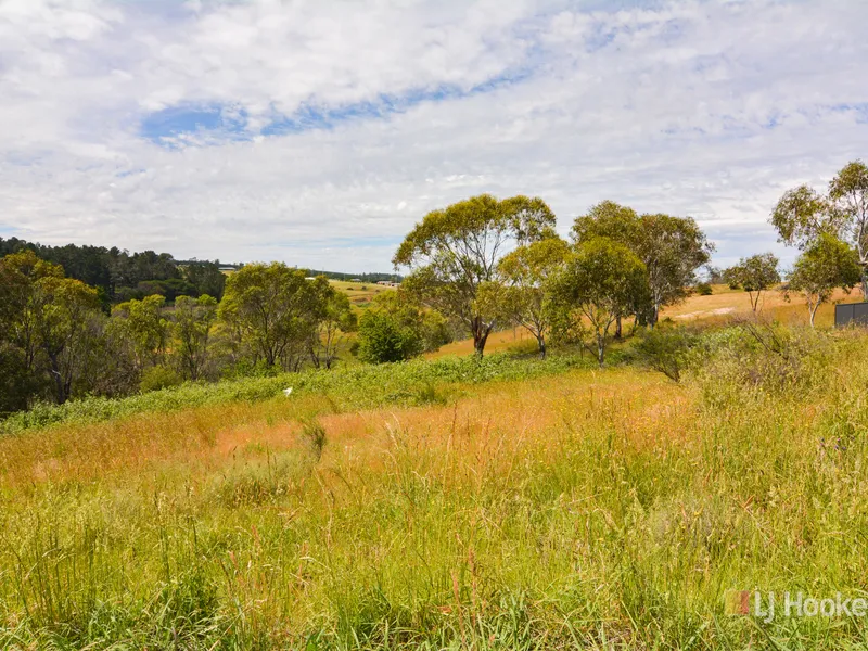 Mountain View Estate