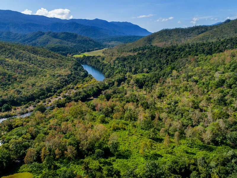 Fancy Some Privacy In The Bush .. Large Parcel Of Land 39.72 ha