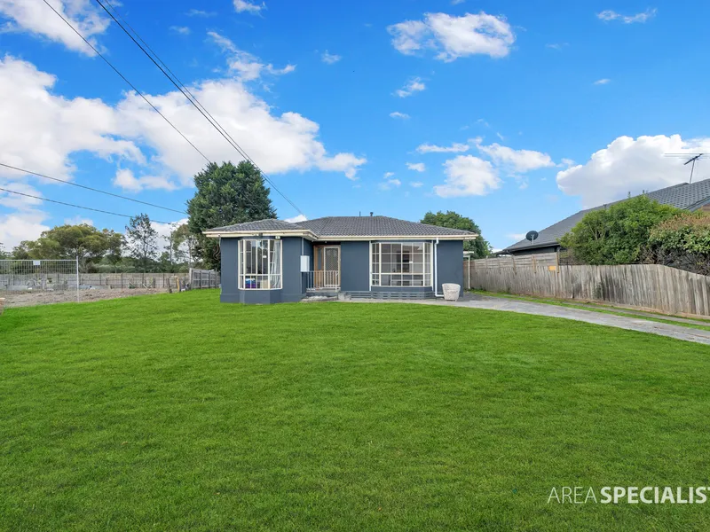Investors Delight: