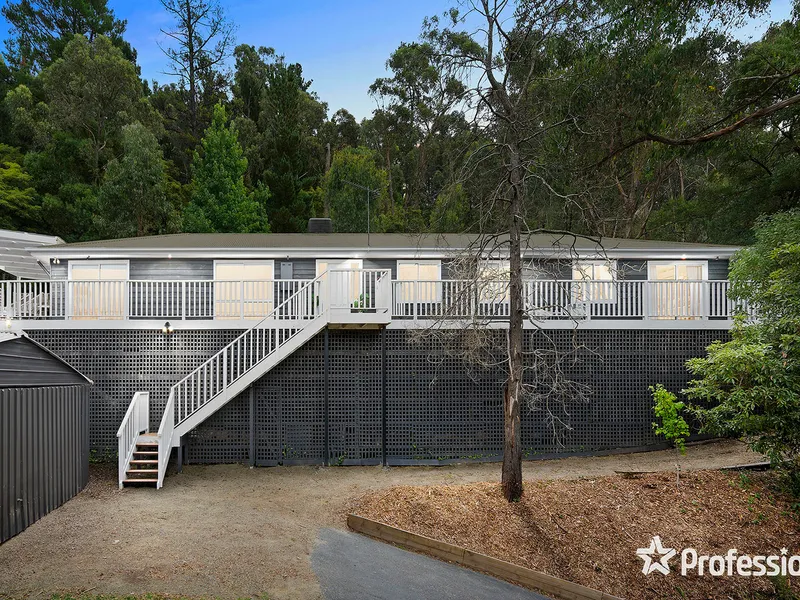 FAMILY EXCELLENCE WITH A TREE TOP VIEW