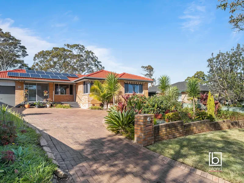 Set Your Roots Down Here!