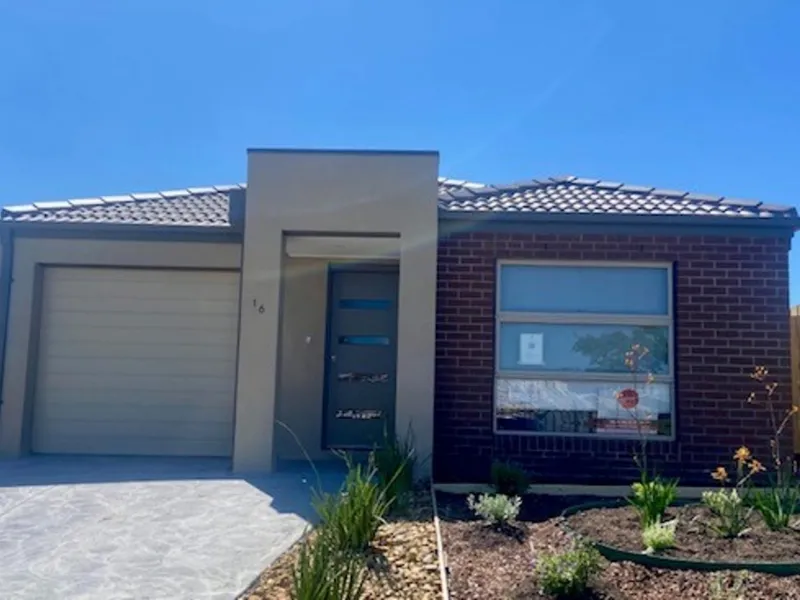 Brand New Modern Home!