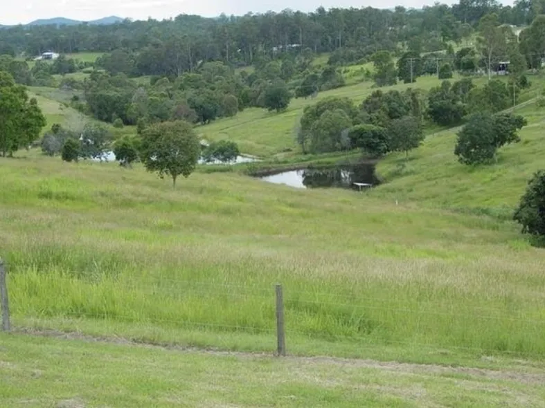 Investors Opportunity