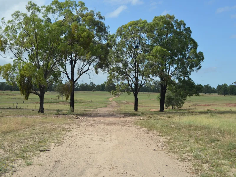 165.32 ha - LifeStyle Farm