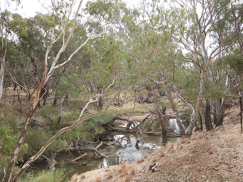 CAMPASPE RIVER FRONTAGE