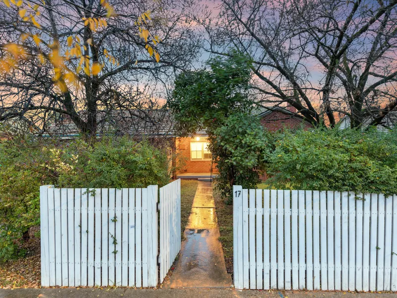 Brick Beauty - A Solid Start