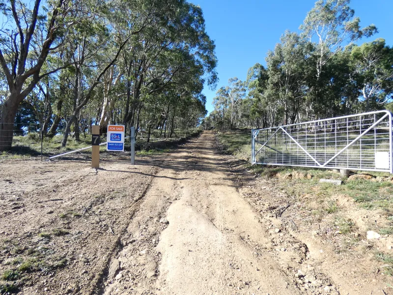 11 ACRES, FABULOUS BUSH BLOCK