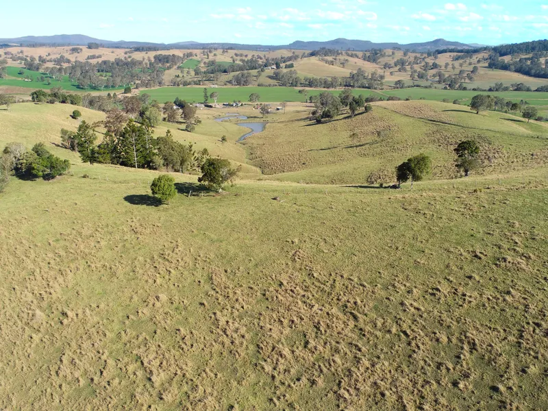 Fertile Grazing, Near the Heart of Mallanganee