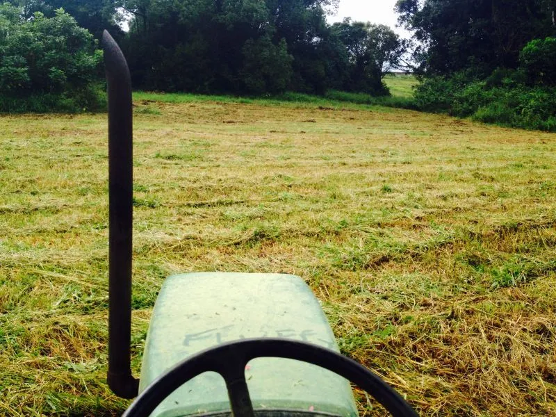 Rare 23 vacant acres