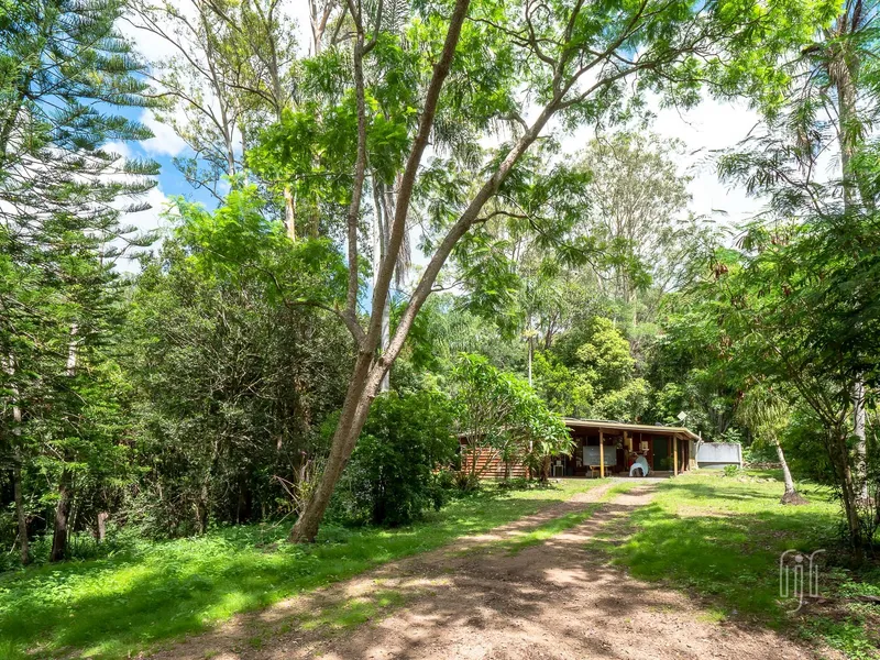 A COTTAGE IN THE WOODS!