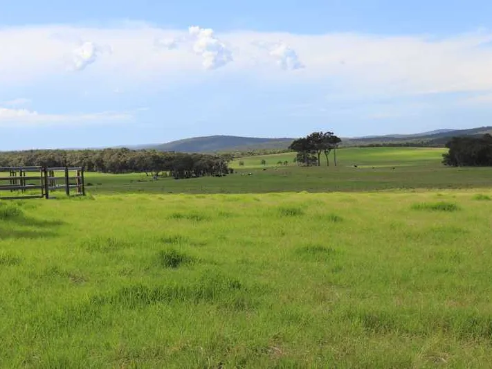 Great Southern Land