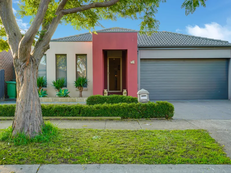 Space and comfort!!! 