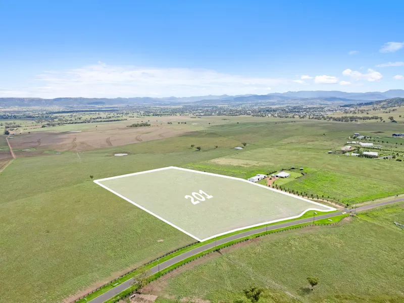 Lot 201 