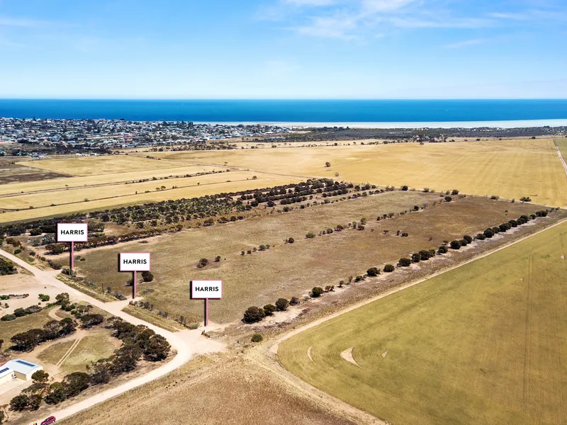 Top of the Hill overlooking the bay